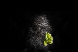 A Gypsy Hair Story