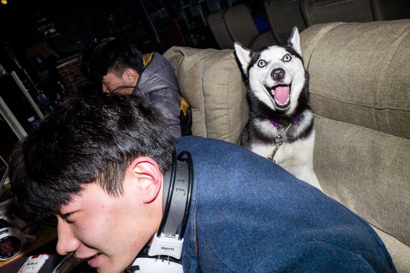 © Jingli Wu - Image from the CHINESE NETWORK LIFE photography project