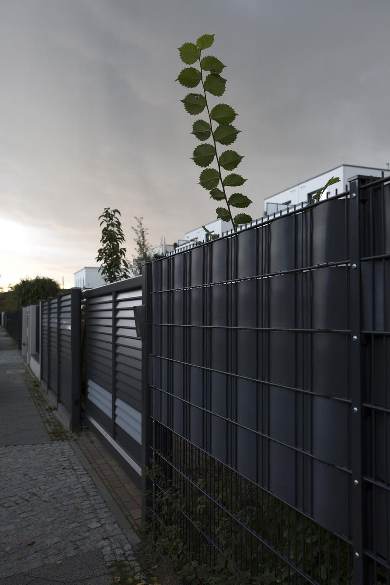 © Carola Lampe - Image from the Humanoid photography project