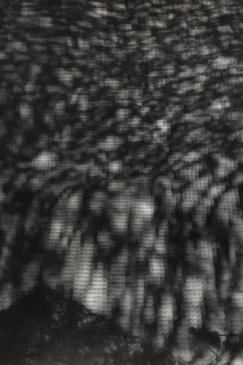 © Carola Lampe - Image from the Tell Me What To See photography project