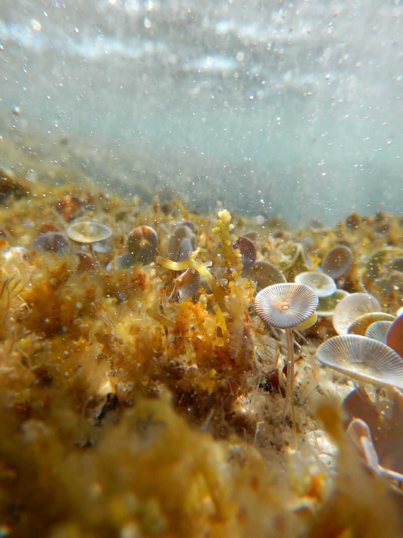 © Aliki Peterson - Image from the Swell photography project