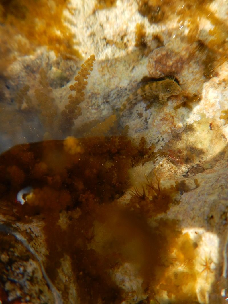 © Aliki Peterson - Image from the Swell photography project