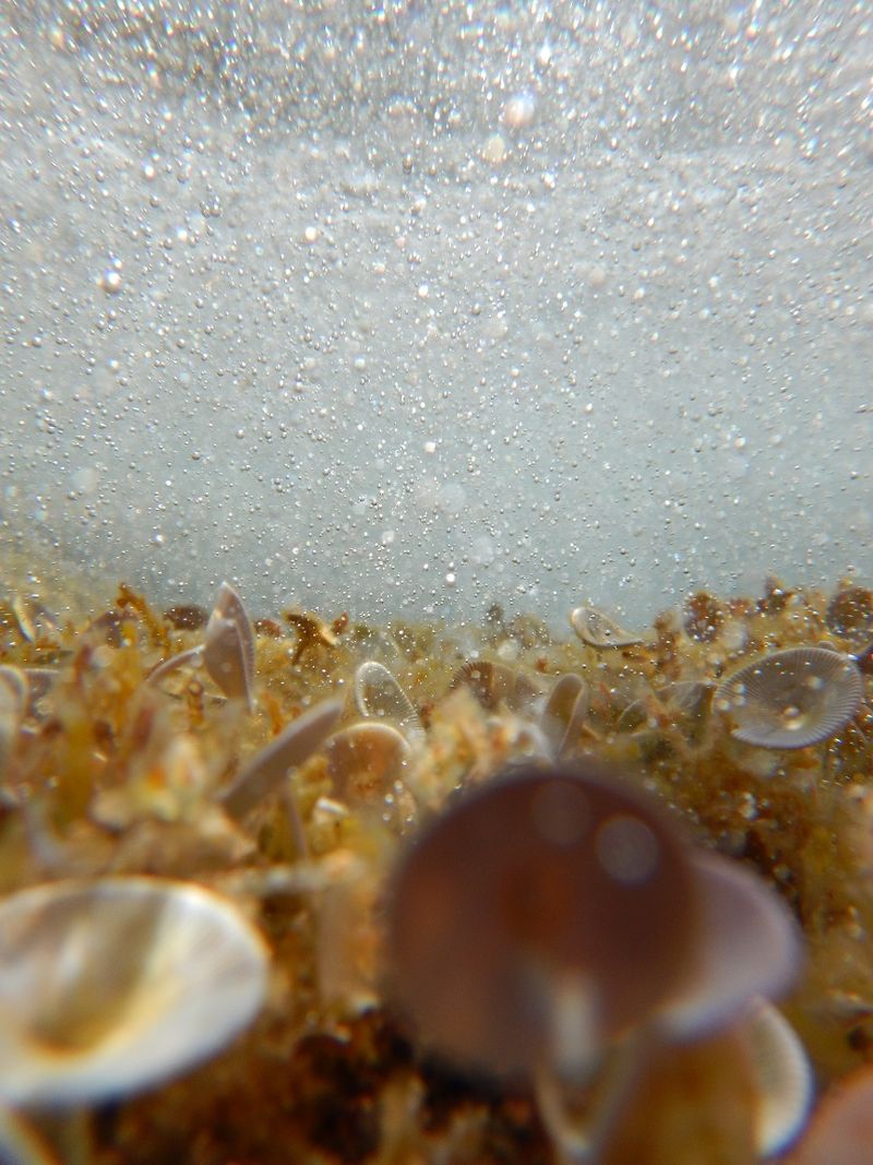 © Aliki Peterson - Image from the Swell photography project