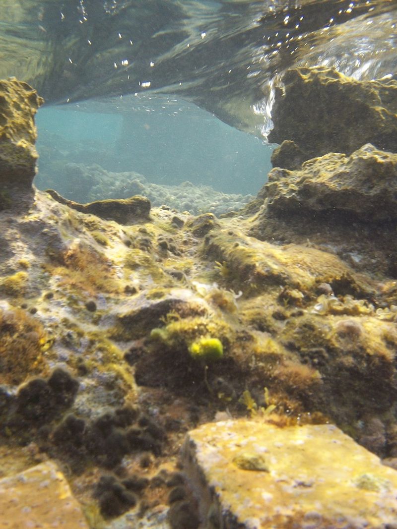 © Aliki Peterson - Image from the Swell photography project