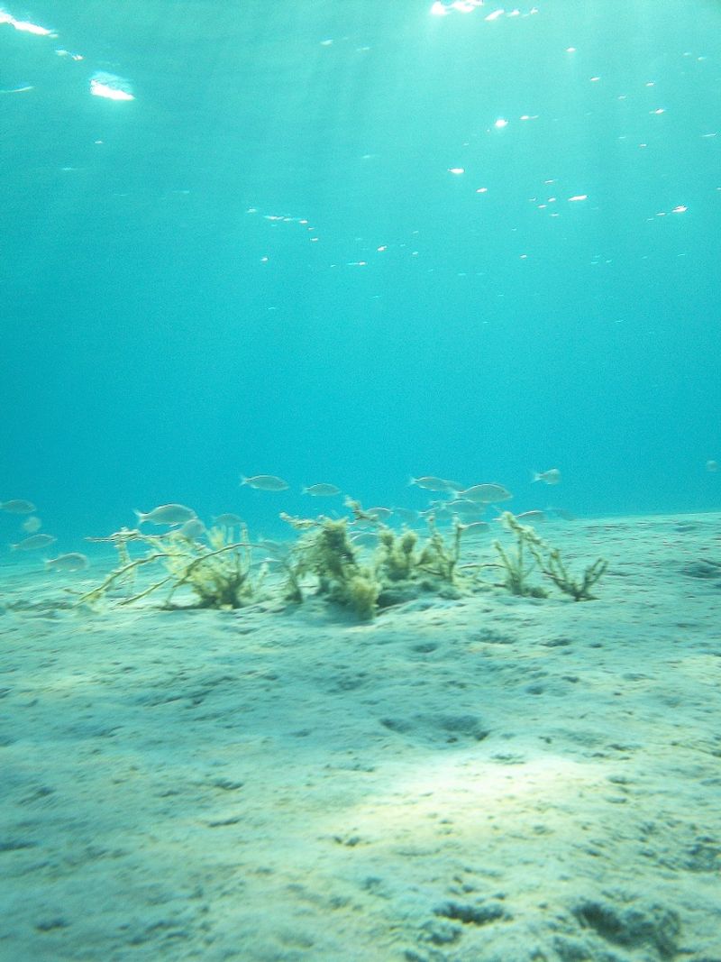 © Aliki Peterson - Image from the Swell photography project