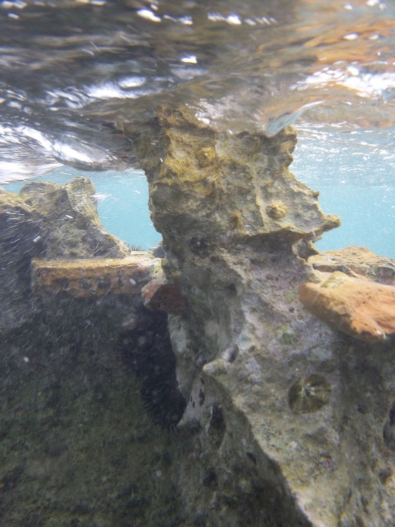 © Aliki Peterson - Image from the Swell photography project