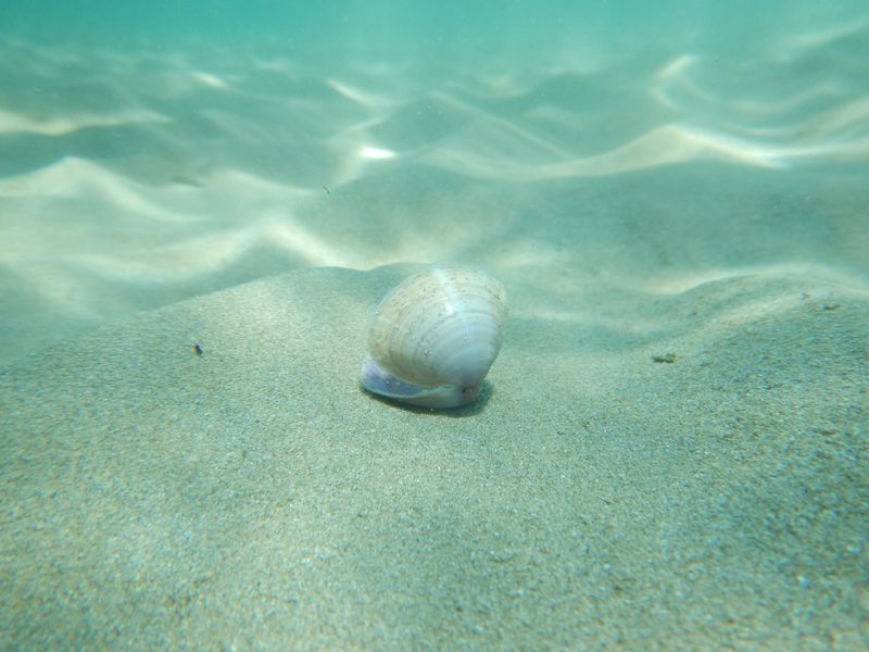 © Aliki Peterson - Image from the Swell photography project