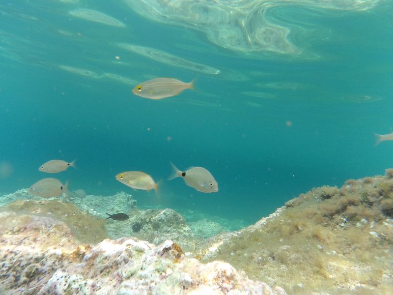 © Aliki Peterson - Image from the Swell photography project