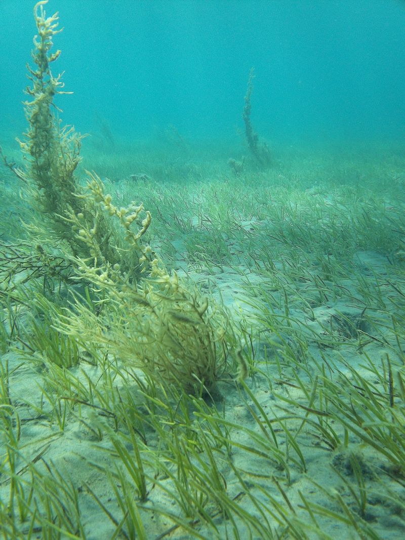 © Aliki Peterson - Image from the Swell photography project