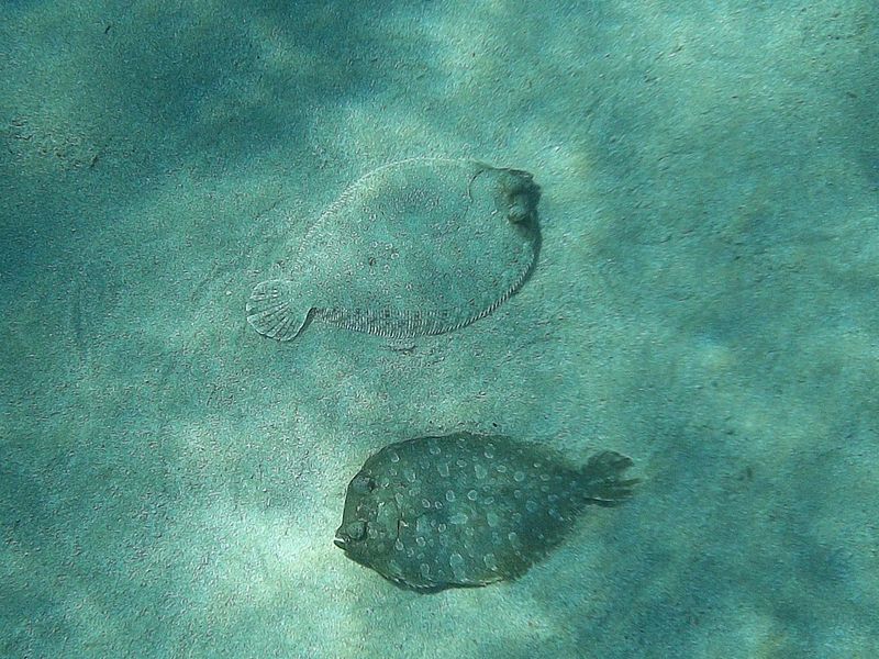 © Aliki Peterson - Image from the Swell photography project