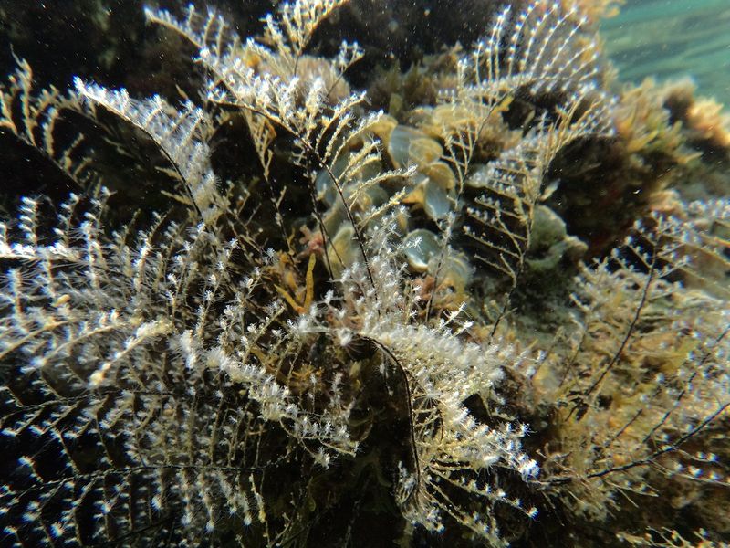 © Aliki Peterson - Image from the Swell photography project