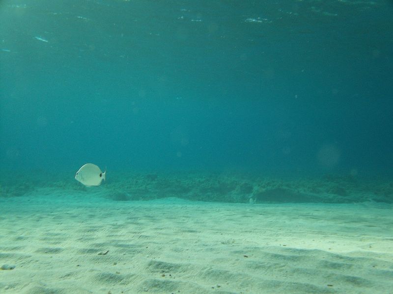 © Aliki Peterson - Image from the Swell photography project