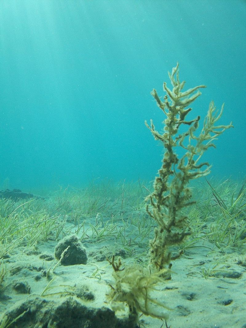 © Aliki Peterson - Image from the Swell photography project