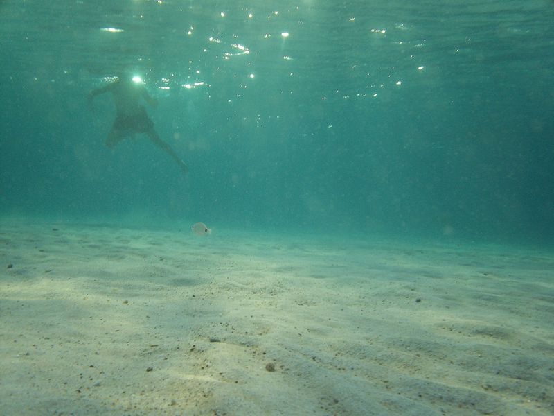 © Aliki Peterson - Image from the Swell photography project