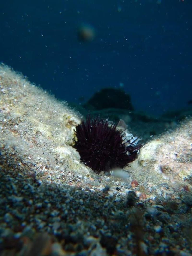 © Aliki Peterson - Image from the Dark Swell photography project