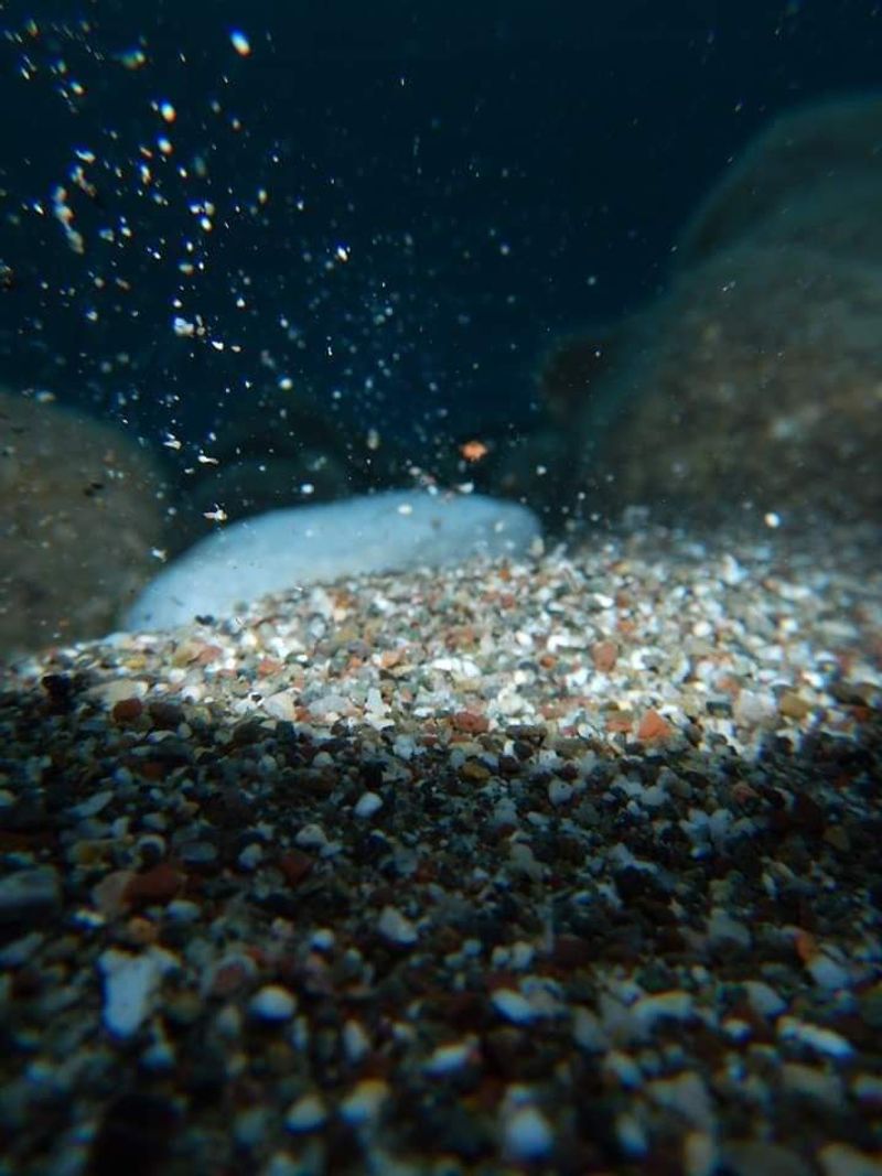 © Aliki Peterson - Image from the Dark Swell photography project