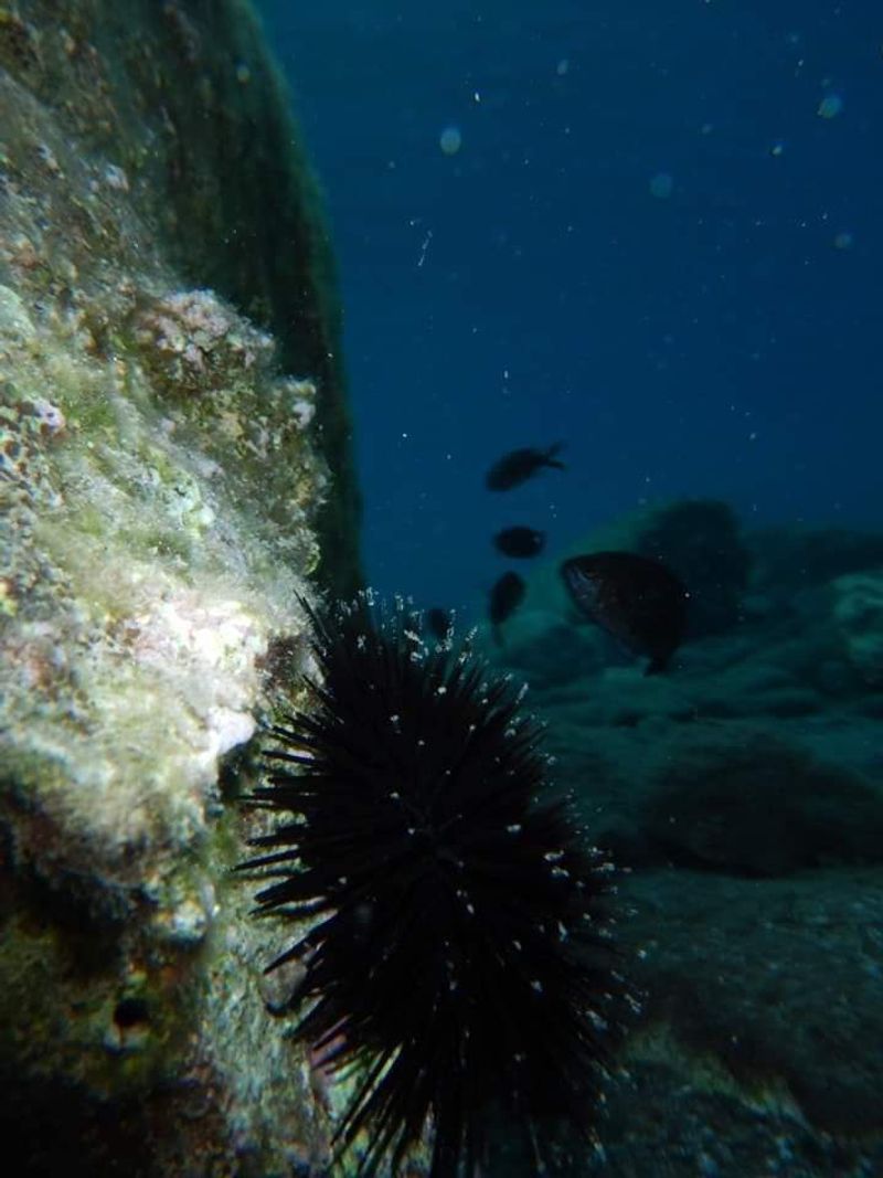 © Aliki Peterson - Image from the Dark Swell photography project