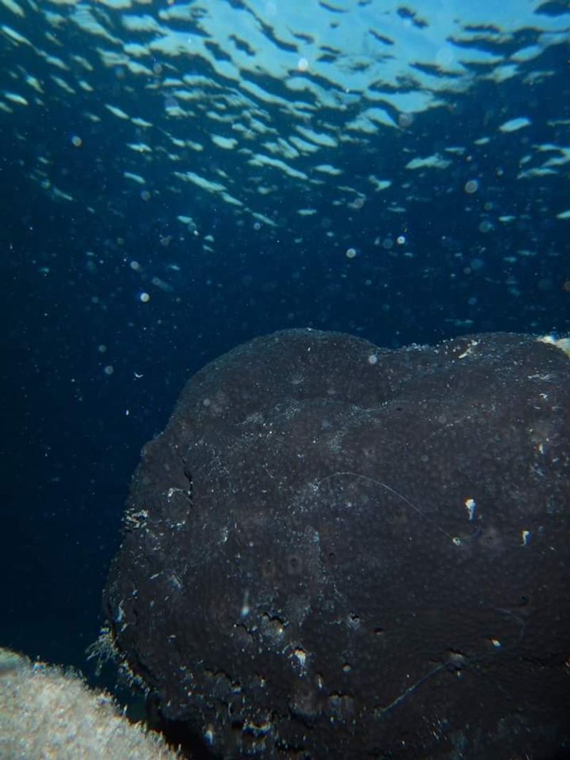 © Aliki Peterson - Image from the Dark Swell photography project