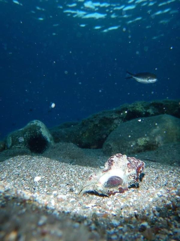 © Aliki Peterson - Image from the Dark Swell photography project