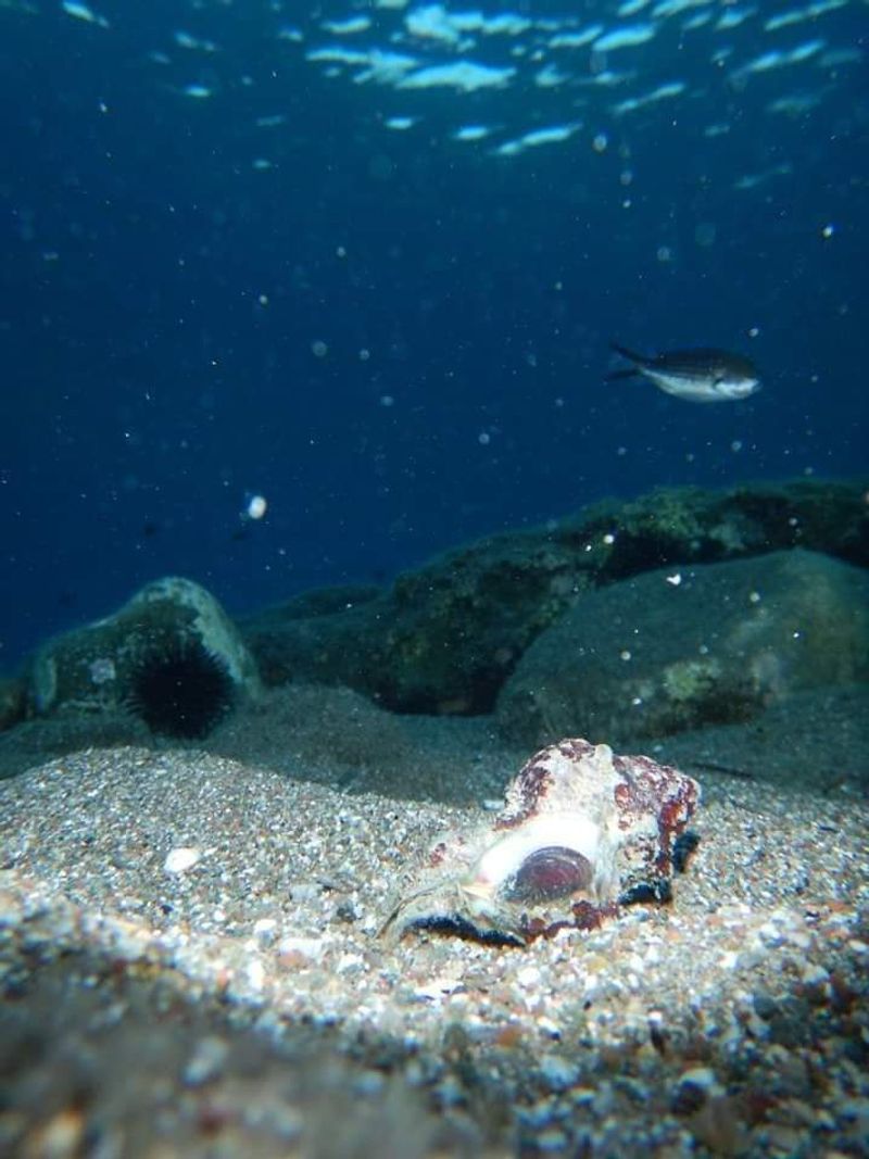 © Aliki Peterson - Image from the Dark Swell photography project