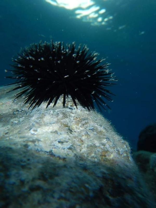 © Aliki Peterson - Image from the Dark Swell photography project