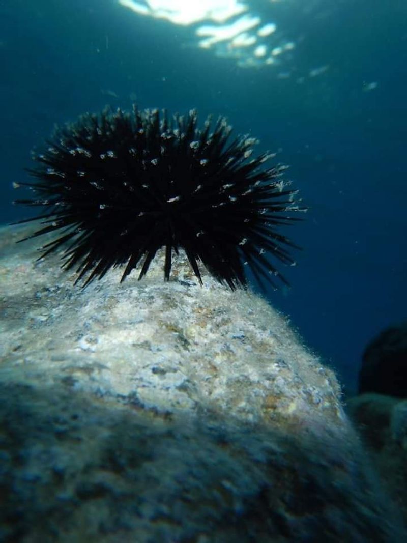 © Aliki Peterson - Image from the Dark Swell photography project