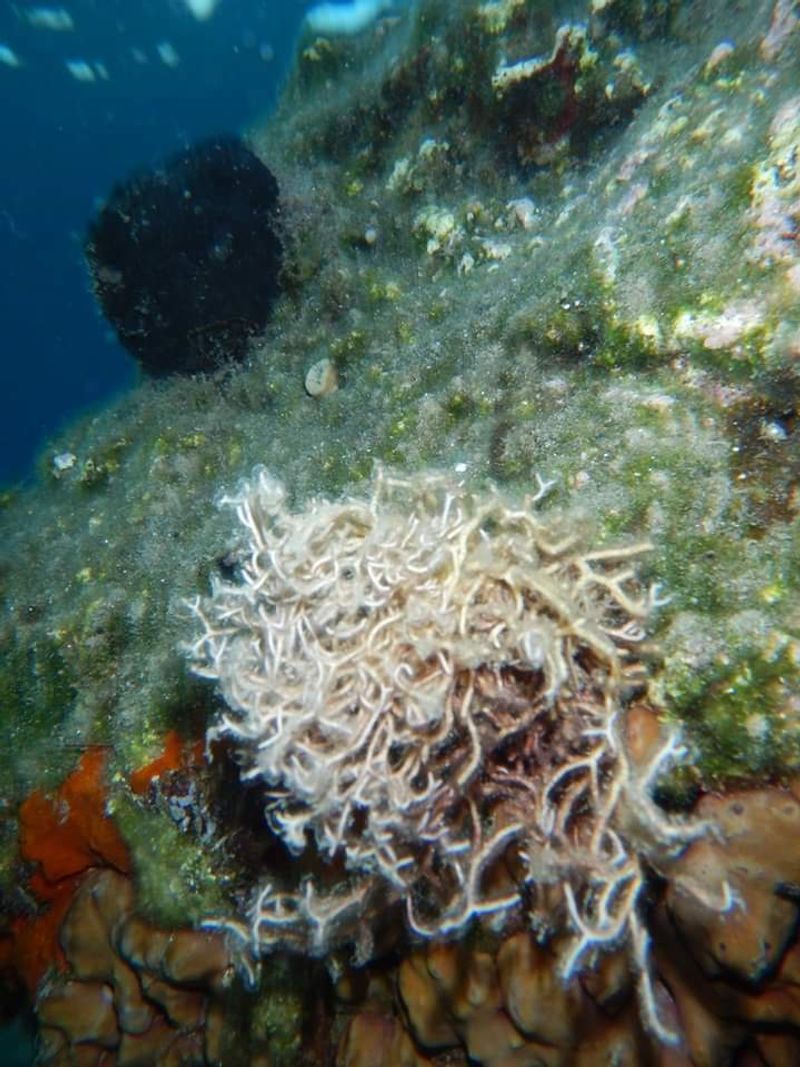 © Aliki Peterson - Image from the Dark Swell photography project