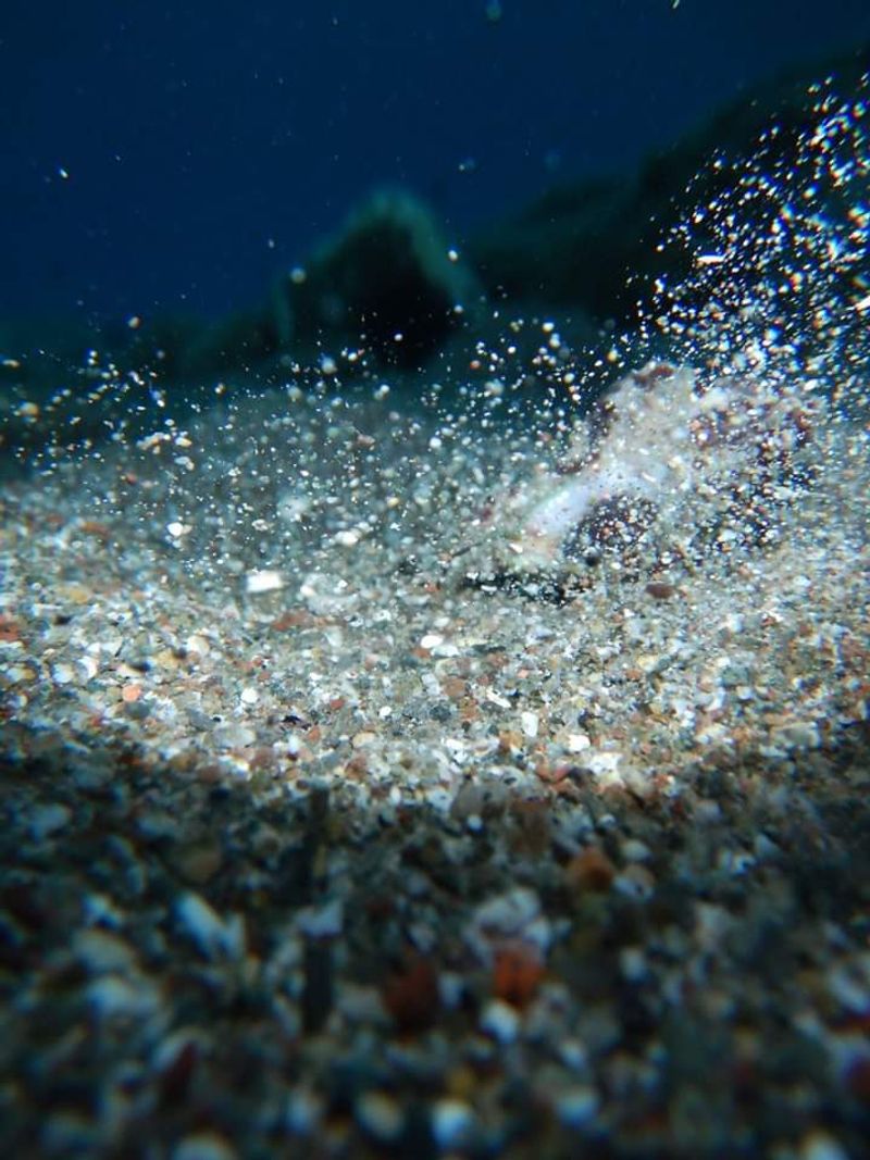 © Aliki Peterson - Image from the Dark Swell photography project