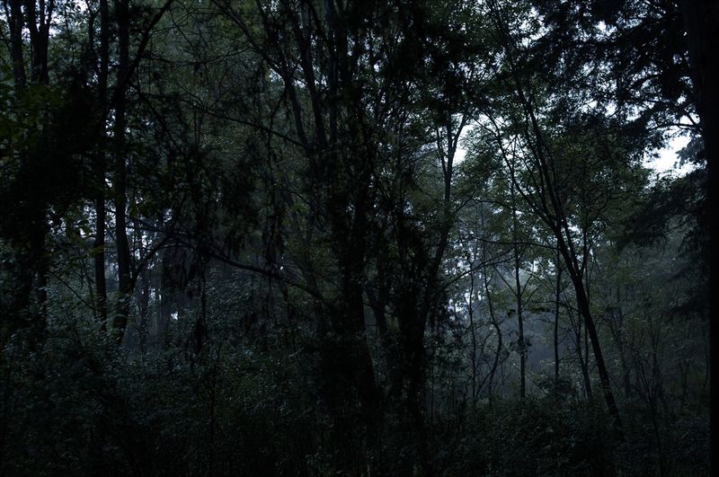 © Lara  Ovídio - Image from the perishable territories photography project