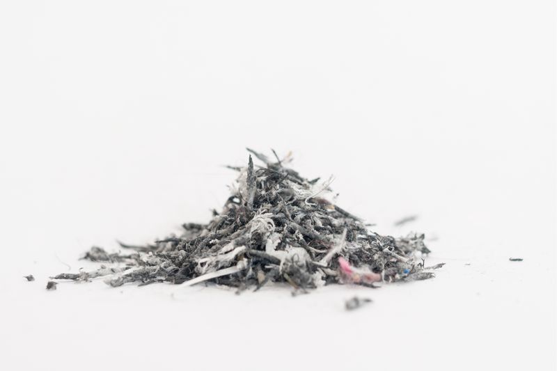 © Lara  Ovídio - Image from the perishable territories photography project