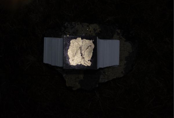 © Harry Oliver - Image from the Tuft : a love story photography project