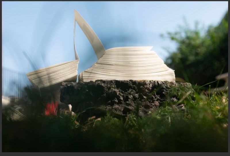 © Harry Oliver - Image from the Tuft : a love story photography project