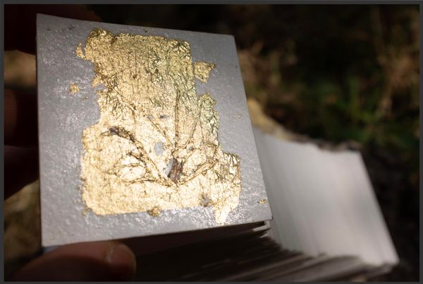 © Harry Oliver - Image from the Tuft : a love story photography project