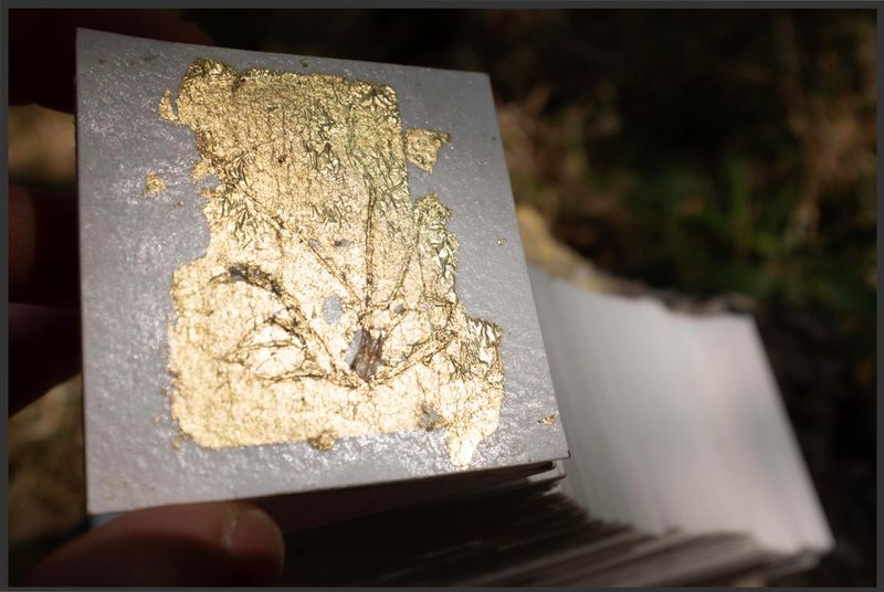 © Harry Oliver - Image from the Tuft : a love story photography project