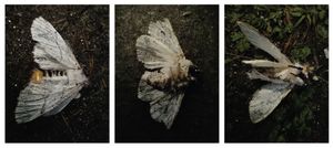 future archaeologies