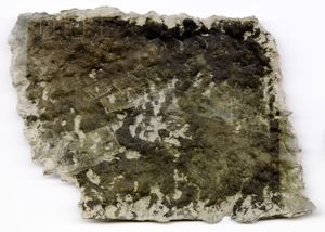 Yesterdays paper makes great paper