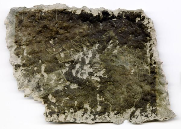 © Harry Oliver - Image from the Yesterdays paper makes great paper photography project