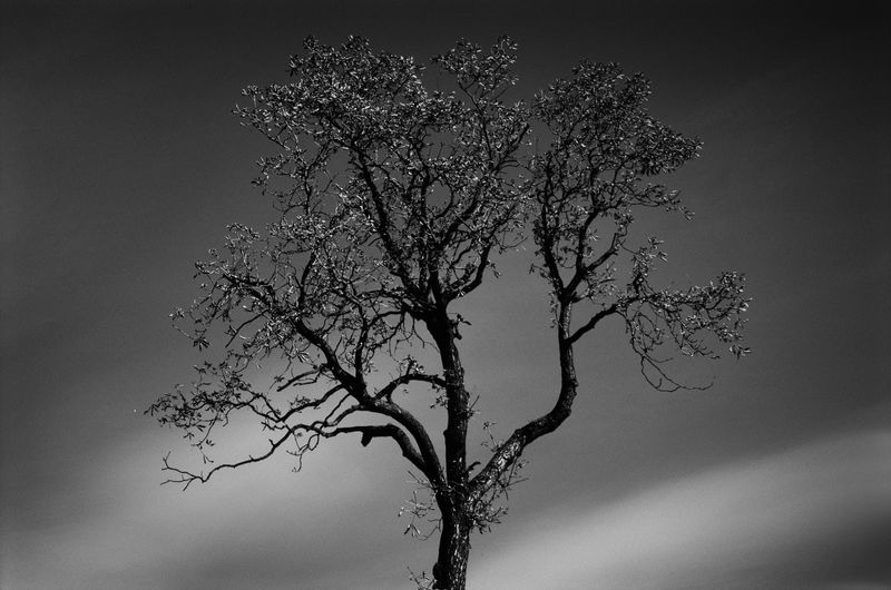 © Yuki Katze - Image from the Stop Time photography project