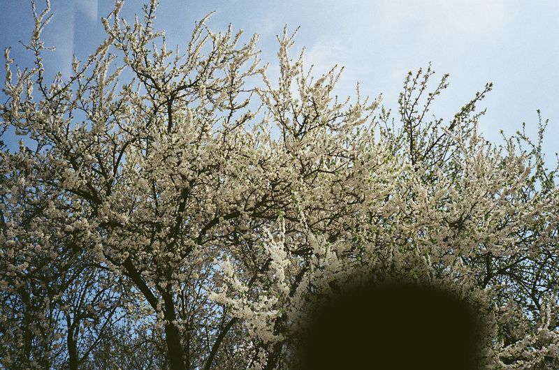 © Vika Terekhovska - Image from the Aura photography project