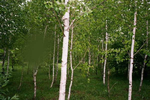 © Vika Terekhovska - Image from the Aura photography project