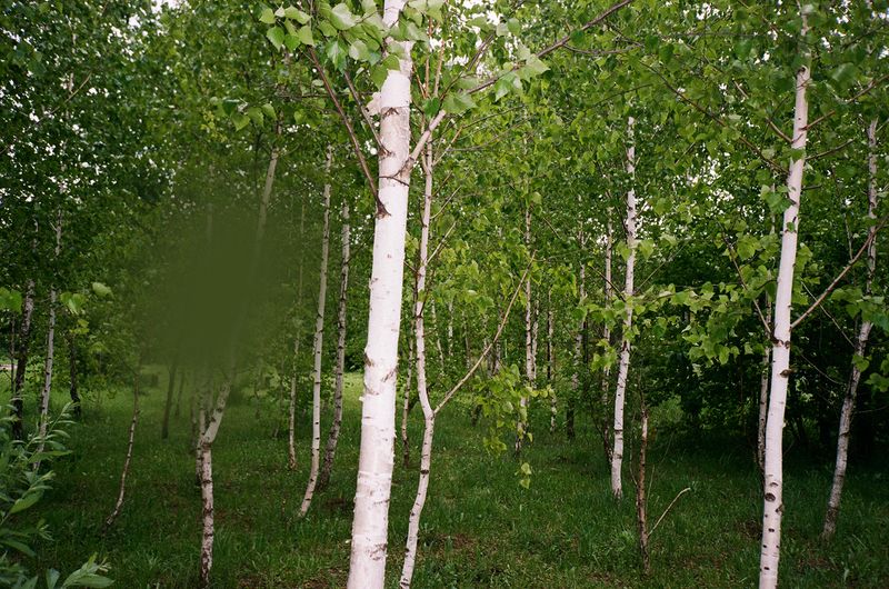 © Vika Terekhovska - Image from the Aura photography project