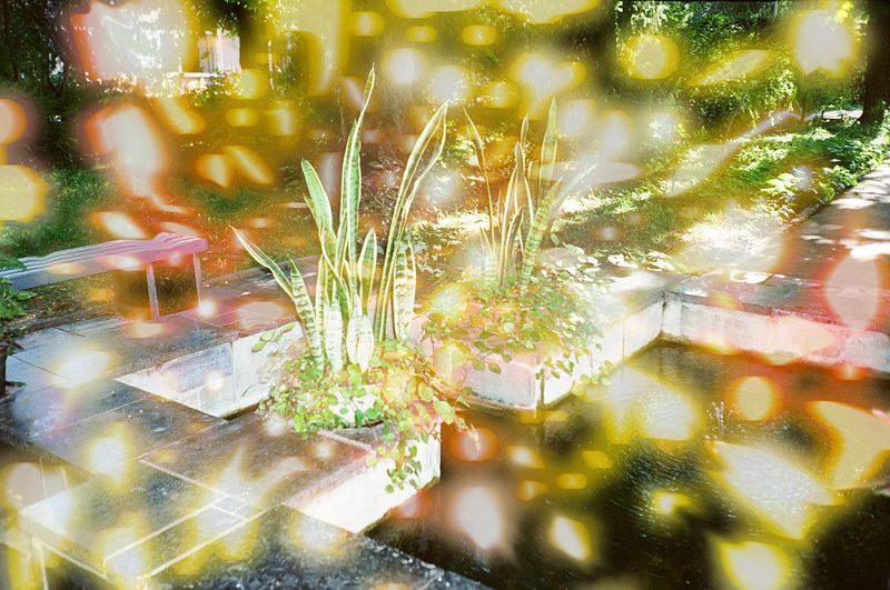 © Vika Terekhovska - Image from the Aura photography project