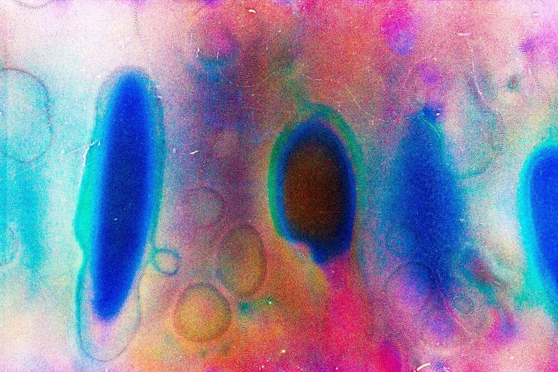 © Daura Campos - Once Upon a Pink Moon (III), Daura Campos, souped 35mm film, variable sizes, 2022