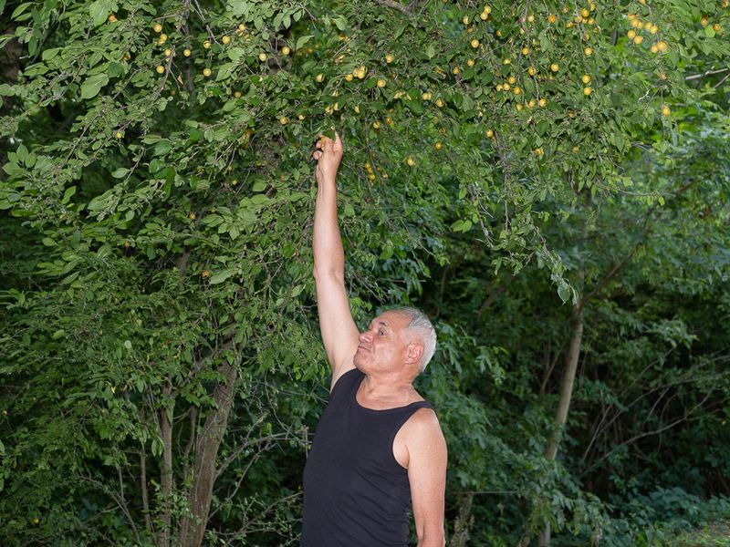 © Michal Adamski - Lakitelek.