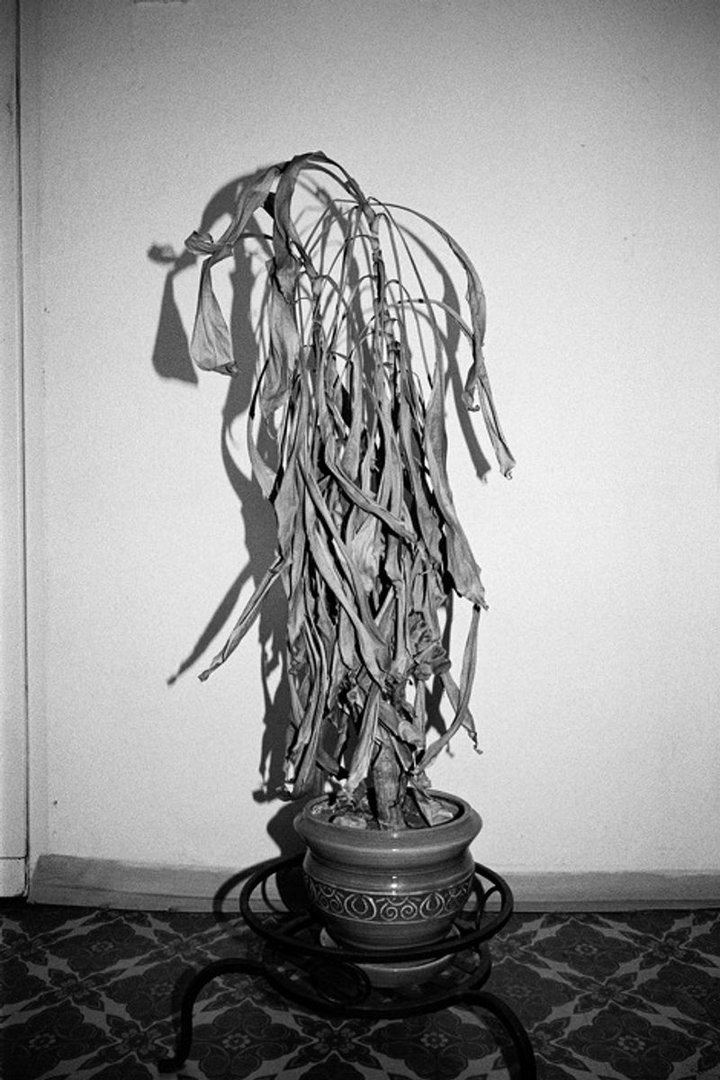 © Michal Adamski - Image from the I can't get through the chaos photography project