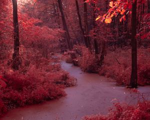 As the water covers the land