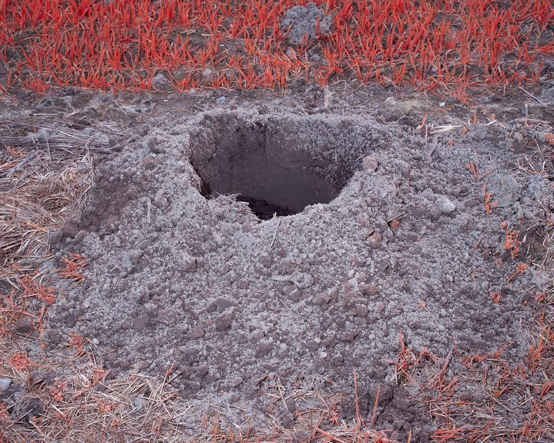 © Michal Adamski - Image from the As the water covers the land photography project