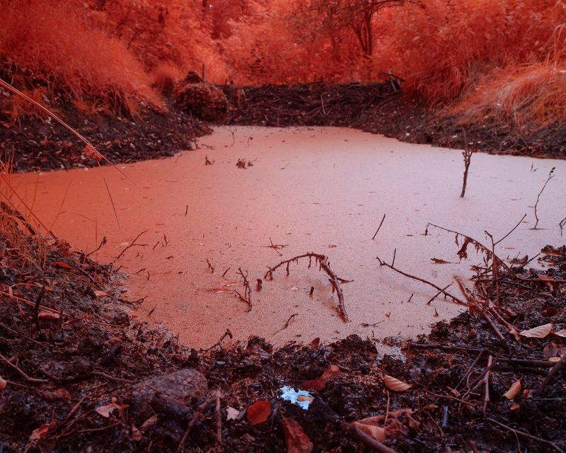 © Michal Adamski - Image from the As the water covers the land photography project