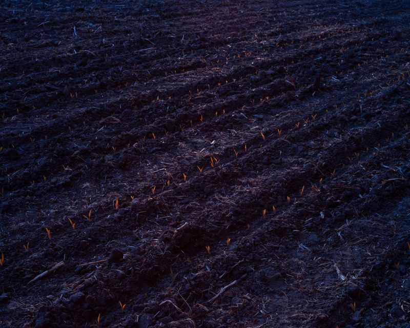 © Michal Adamski - Image from the As the water covers the land photography project