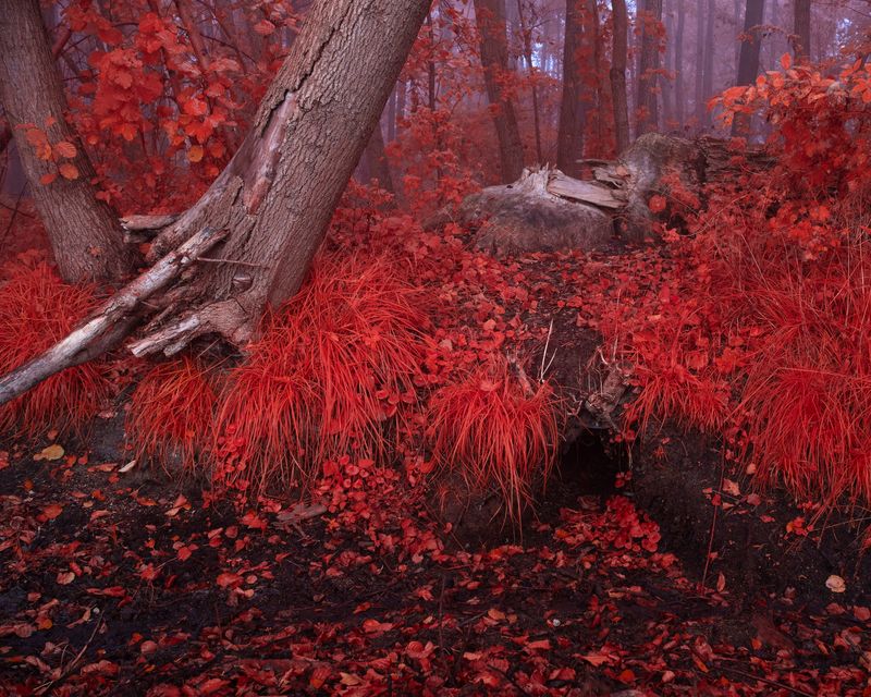© Michal Adamski - Image from the As the water covers the land photography project